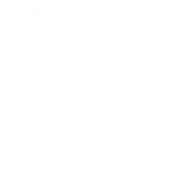 North glyph